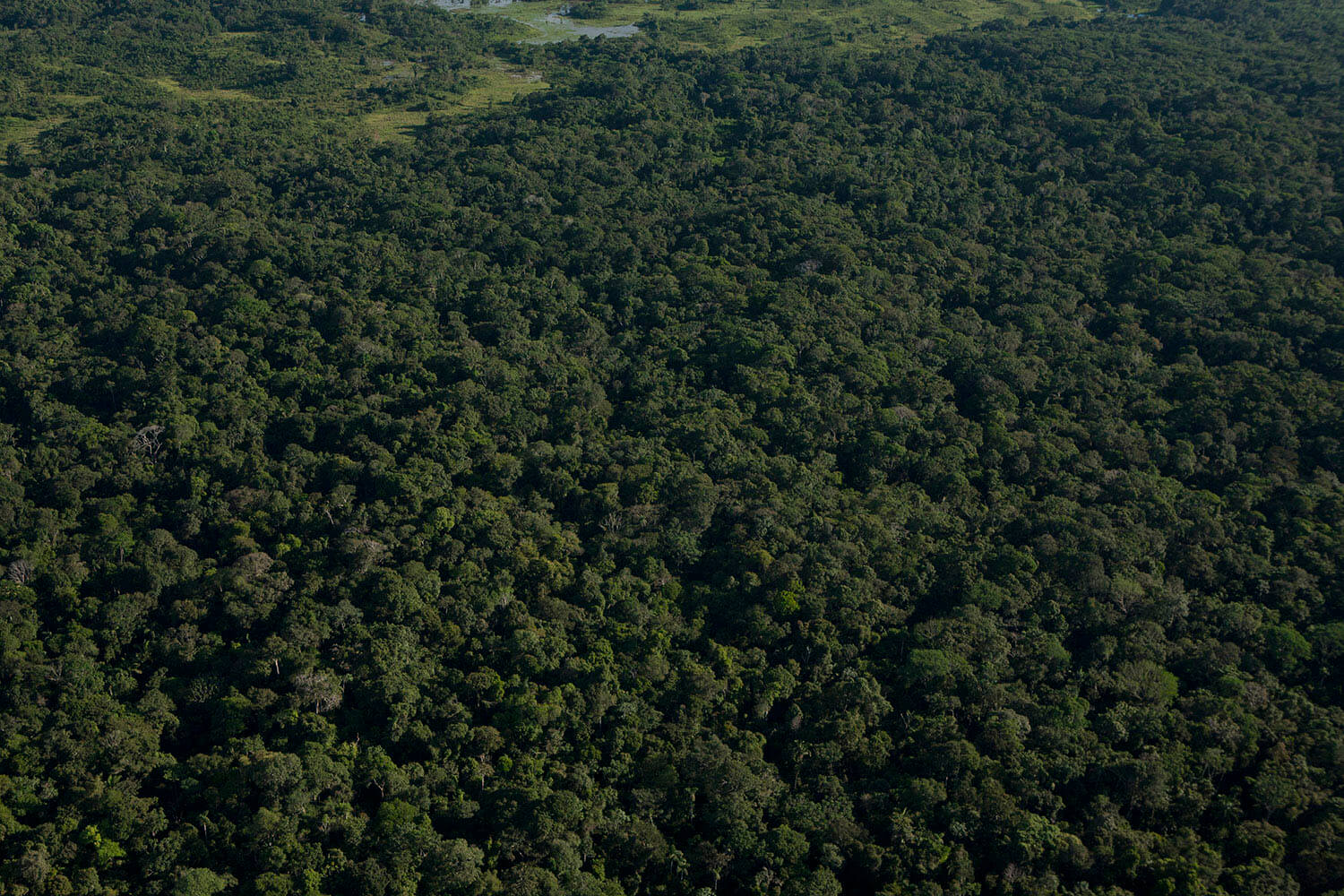 14AMAZONAS slider 4_MG_4323.jpg